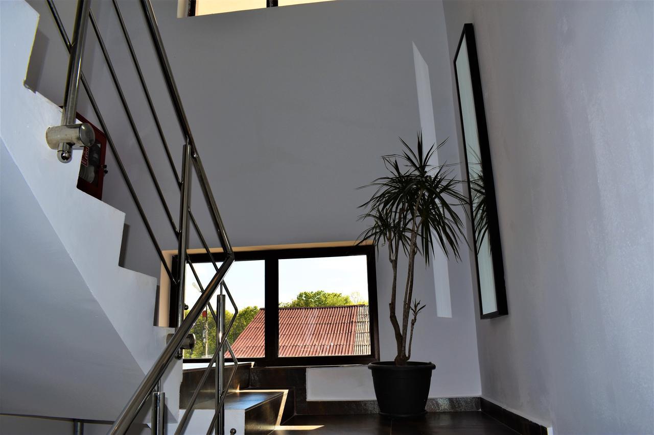 Pensiunea Alexandra Corbii Mari Exterior foto
